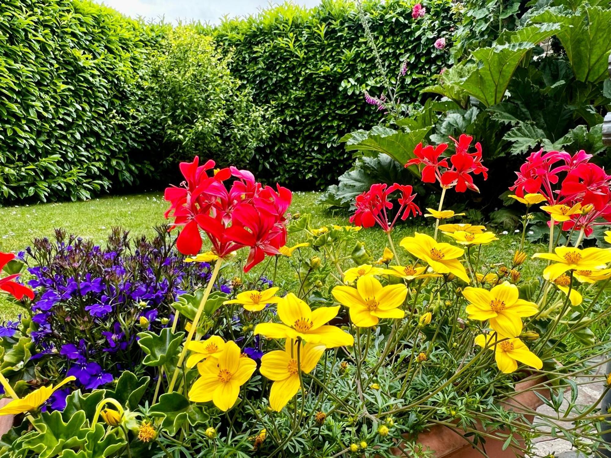Homestay D'hotes Loudeac